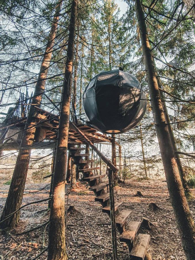 Nature Calls - Tree Tents * Butinge