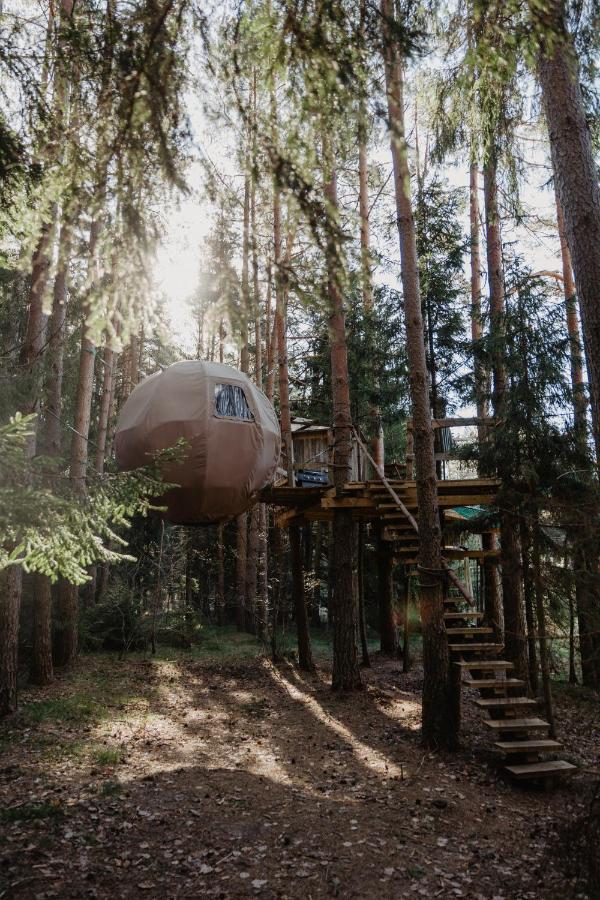 Luxury tent Nature Calls - Tree Tents
