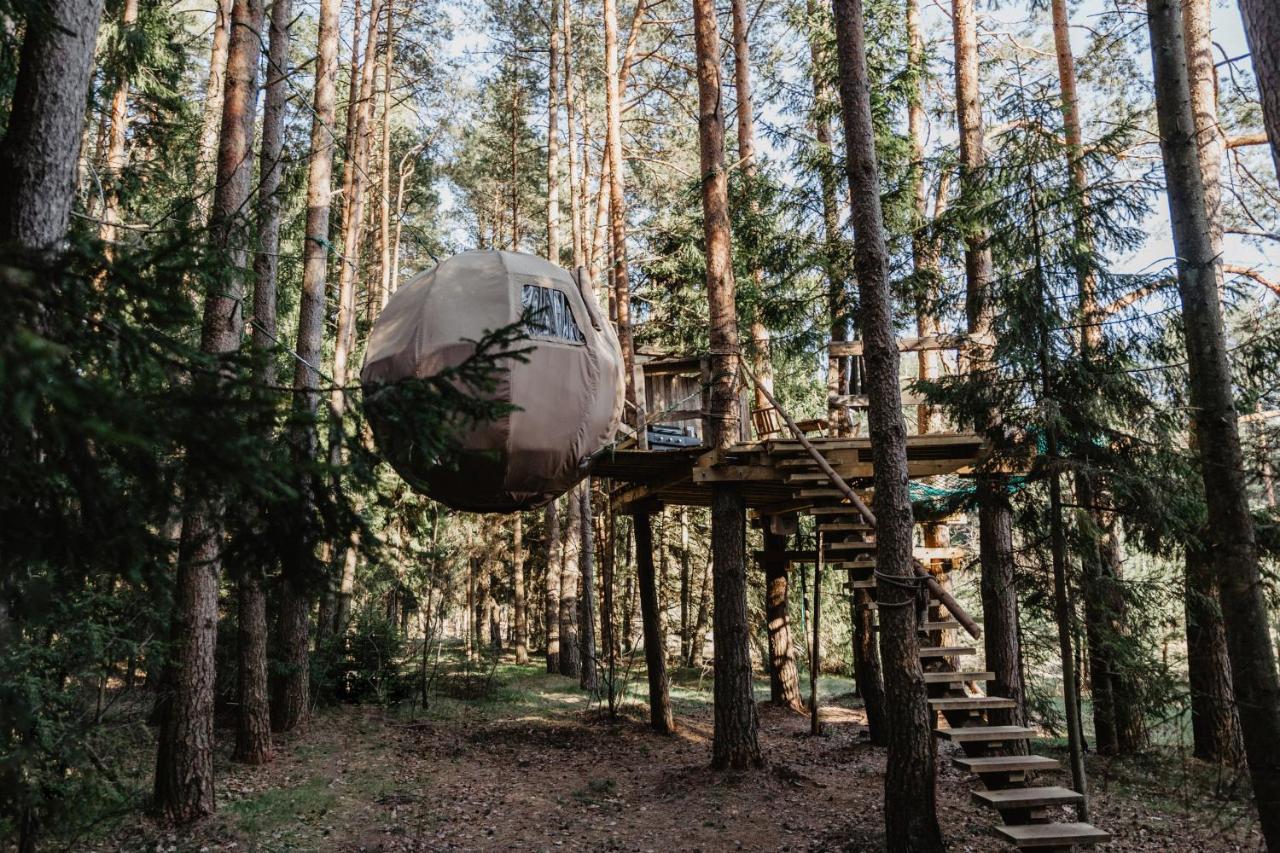 Luxury tent Nature Calls - Tree Tents