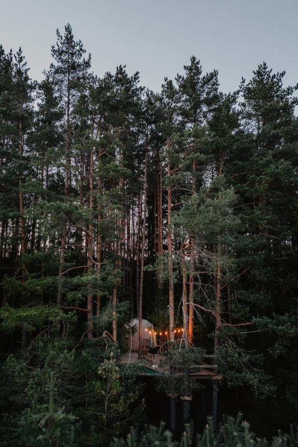 Luxury tent Nature Calls - Tree Tents Butinge